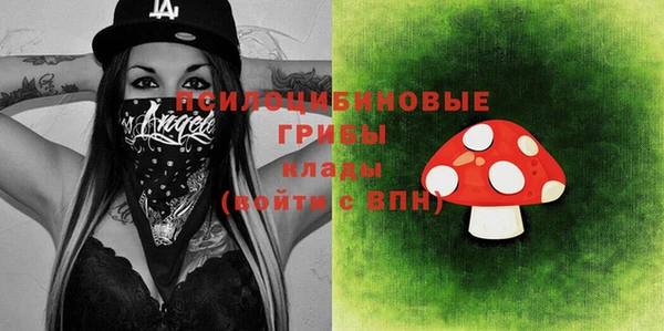 spice Аркадак