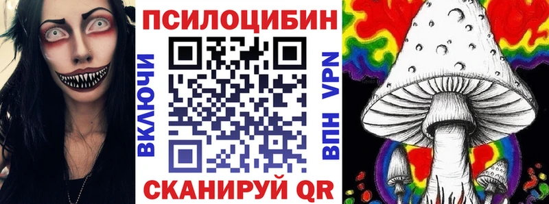 даркнет сайт  Усть-Илимск  Галлюциногенные грибы Psilocybe 